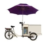 Triciclo Eléctrico Tienda Helados Con Congelador 350W 12ha - Imagen 2