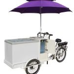 Triciclo Eléctrico Tienda Helados Con Congelador 350W 12ha