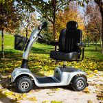Triciclo Eléctrico Libercar Grand Classe 500W 40Ah - Imagen 2