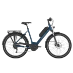 Bicicleta Gazelle Medeo T9 HMB